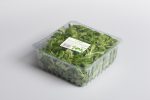 salad&herbs-15002-plastic-tray-punnet-topseal-film-NNZ