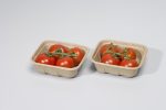 tomatoes-26007-bio-packaging-okopack-tray-NNZ