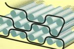 Snakewrap 1