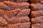 pallet net