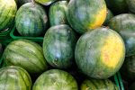 Watermelon Packaging