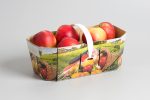 apple packaging - cardboard tray