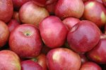 Apples 6741195