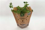 packaging - paper bag